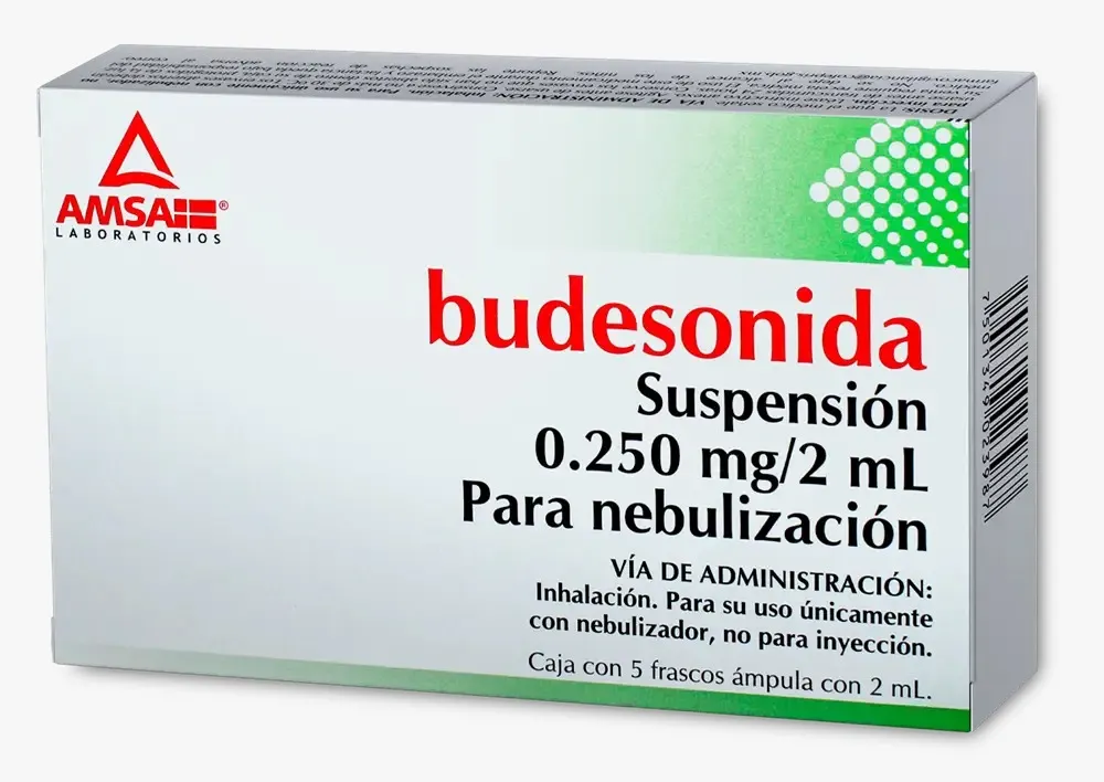 BUDESONIDA. AEROSOL PARA INHALACION BUCAL. CADA GRAMO CONTIENE: BUDESONIDA 4.285 MG. ENVASE PRESURIZADO CON 200 DOSIS DE 200 MICROGRAMOS CADA UNA Y DISPOSITIVO INHALADOR.